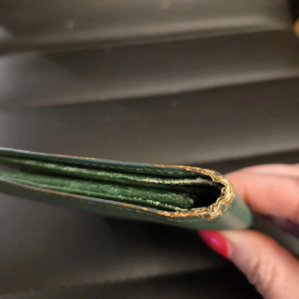 Vintage Louis Vuitton Epi Leather Bifold Wallet in Borneo Green